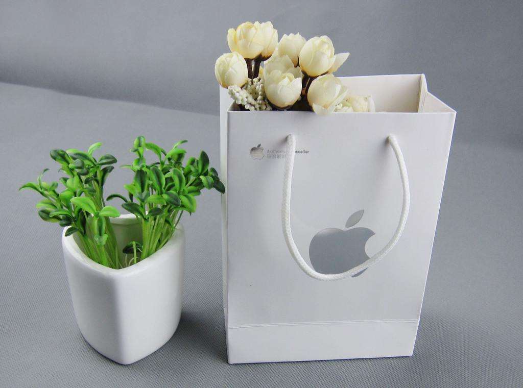 蘋果手機紙袋 蘋果手機紙袋